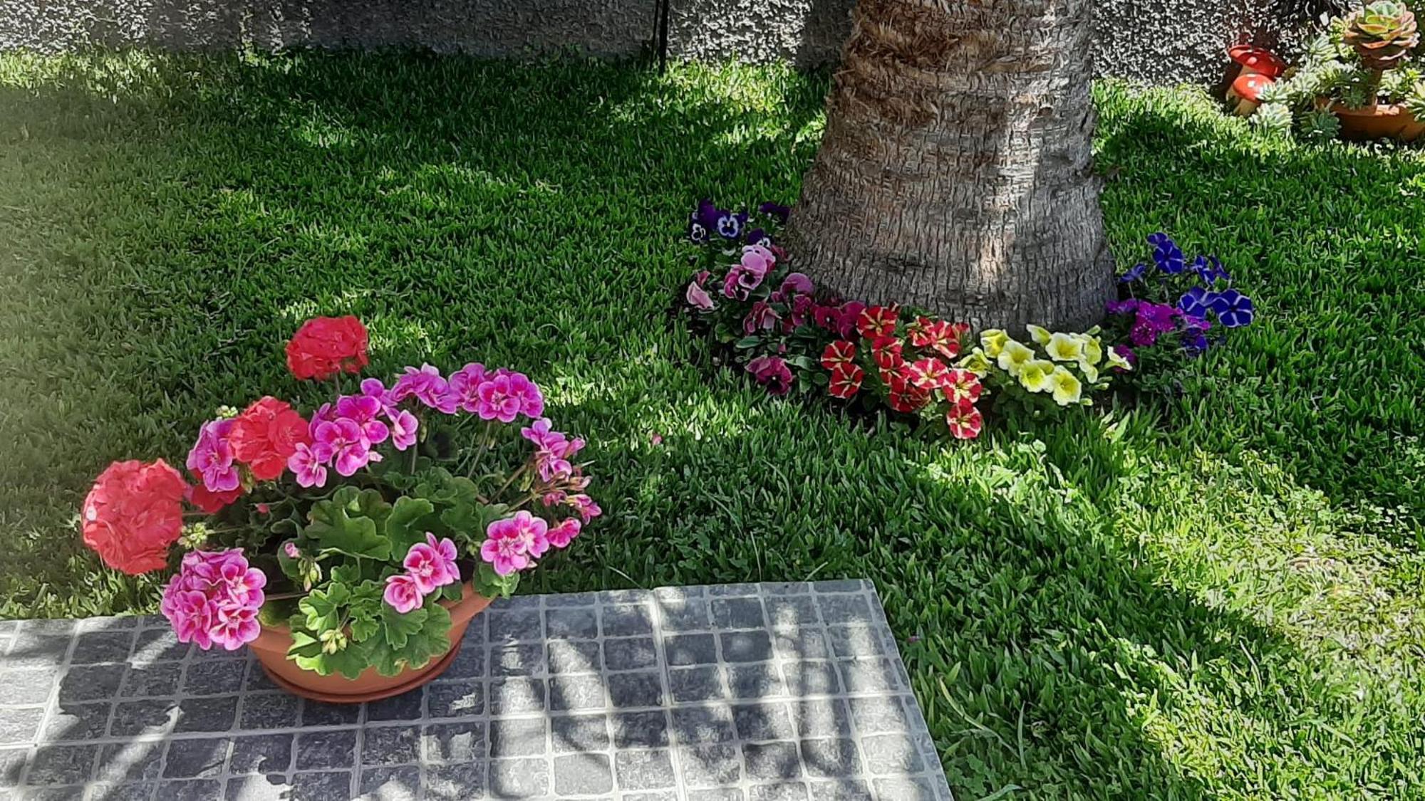 Casa Ventura Βίλα Arco da Calheta  Εξωτερικό φωτογραφία
